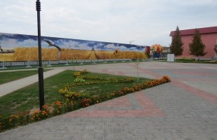 IMG_3132