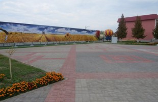 IMG_3133
