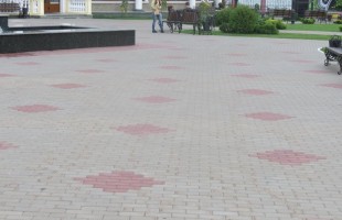 IMG_3138